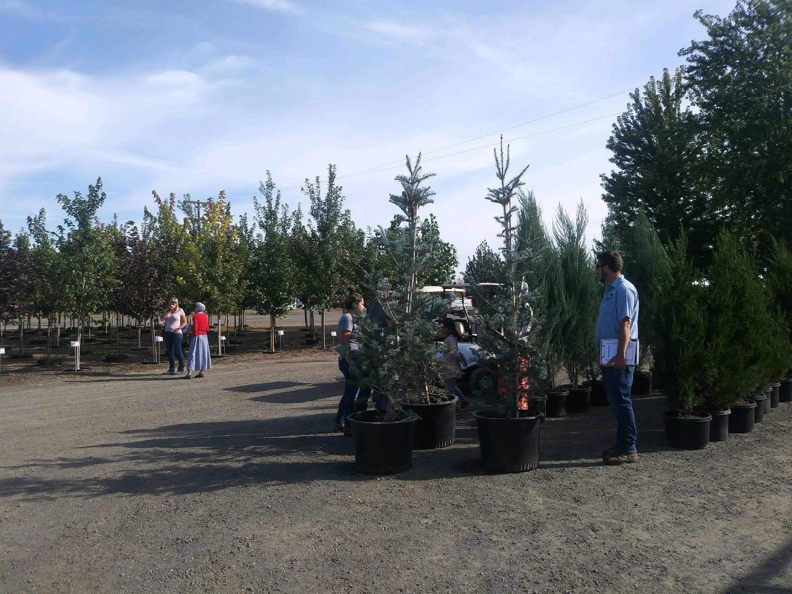Homeowner tree delivery in the Tri-Cities, Washington